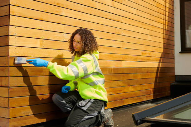 Best Storm Damage Siding Repair  in Nitro, WV