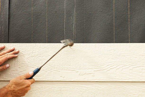Best Composite Siding  in Nitro, WV